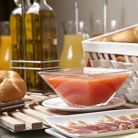 塞维利亚泽尼特酒店 4* 塞维利亚